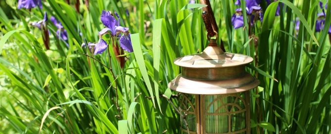 radiant decorative copper in the garden bed